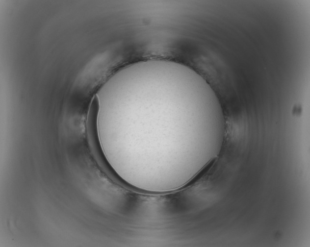 X0000111930621200908241117