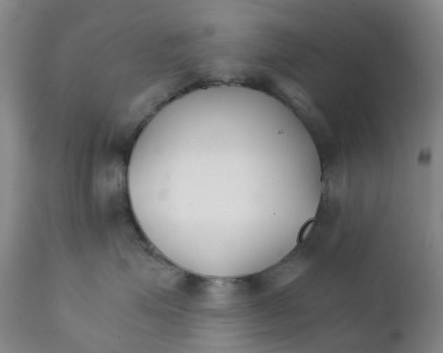 X0000111930623200908241117