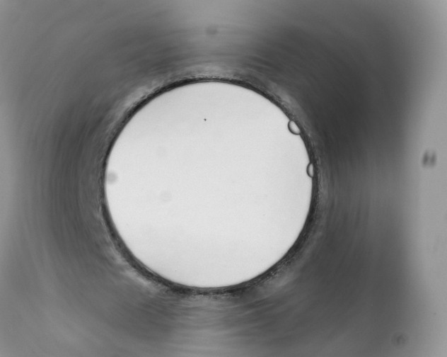 X0000111930625200908241116