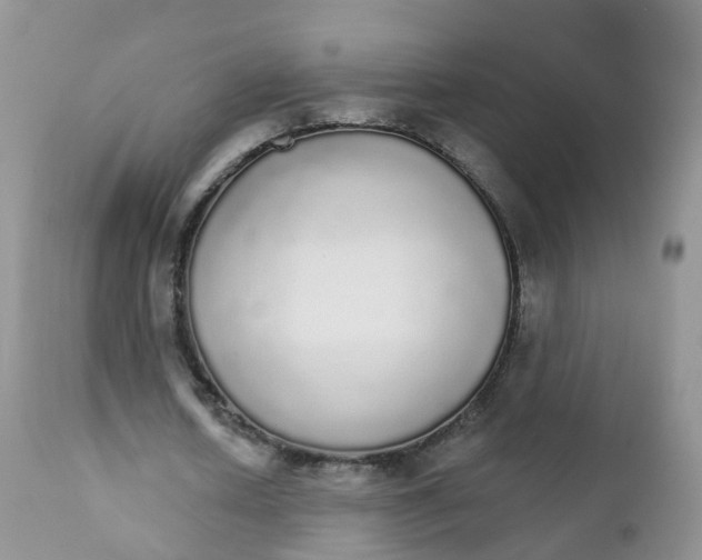 X0000111930626200908241116