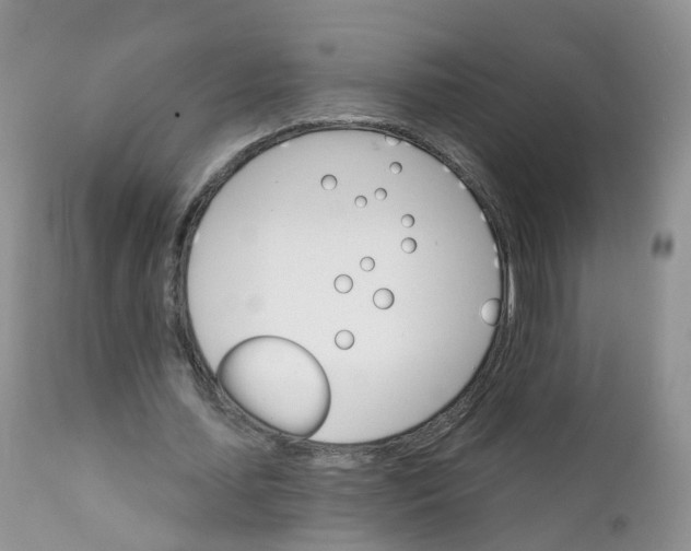 X0000111930627200908241116