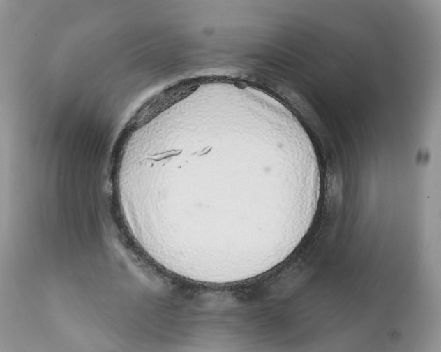 X0000111930628200908241116