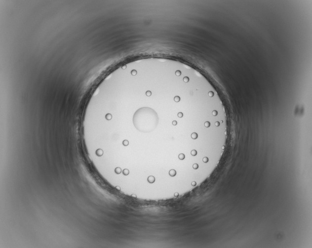 X0000111930629200908241116