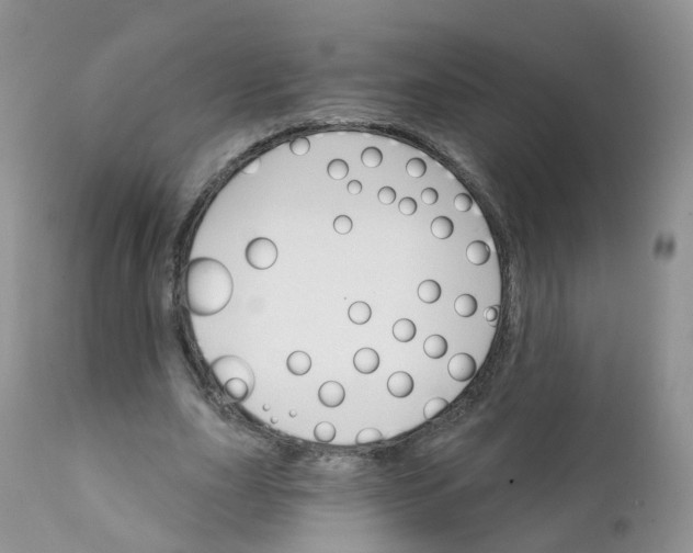 X0000111930631200908241116