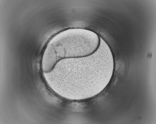 X0000111930632200908241116