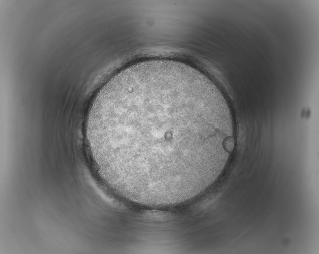 X0000111930633200908241116