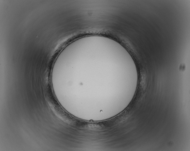 X0000111930636200908241116