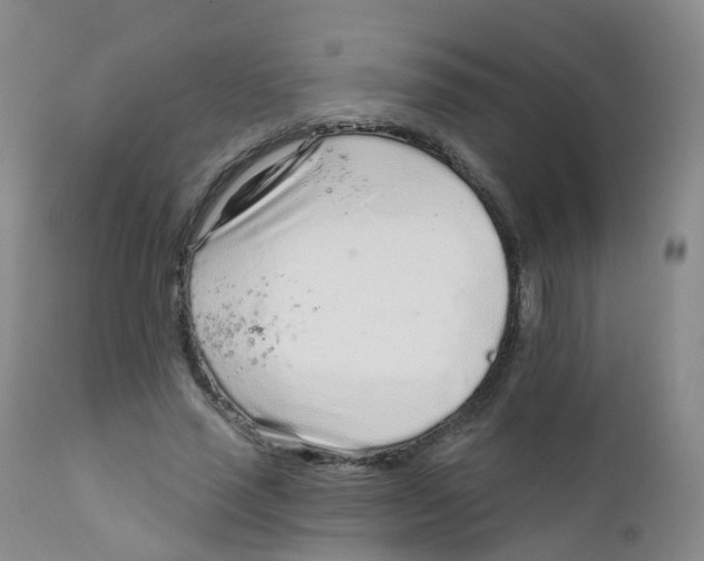 X0000111930637200908241116