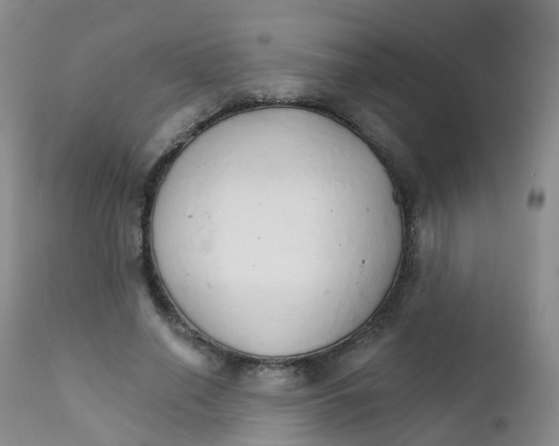 X0000111930638200908241116