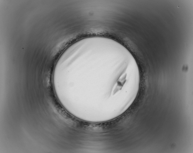 X0000111930640200908241116