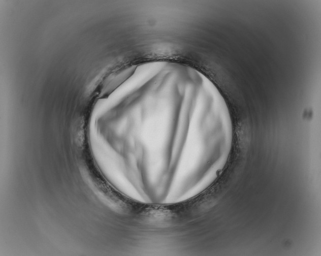 X0000111930642200908241116