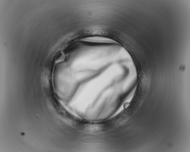 X0000111930643200908241116