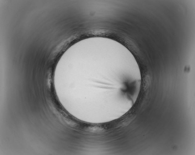 X0000111930644200908241116