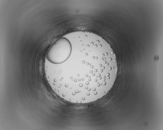 X0000111930646200908241116