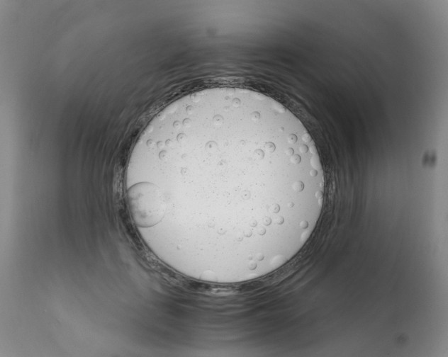 X0000111930651200908241117