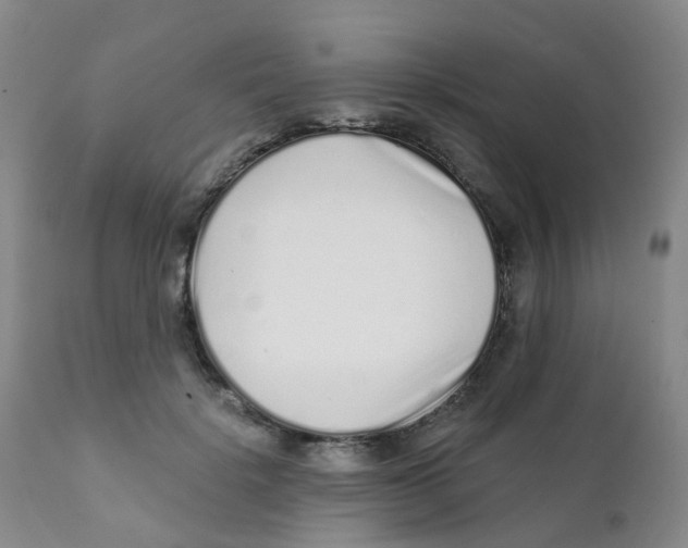 X0000111930652200908241117