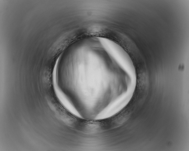 X0000111930653200908241117