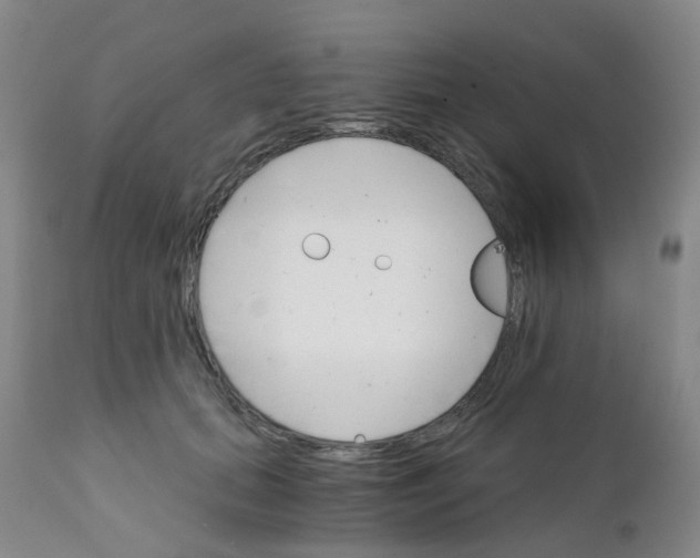 X0000111930655200908241117