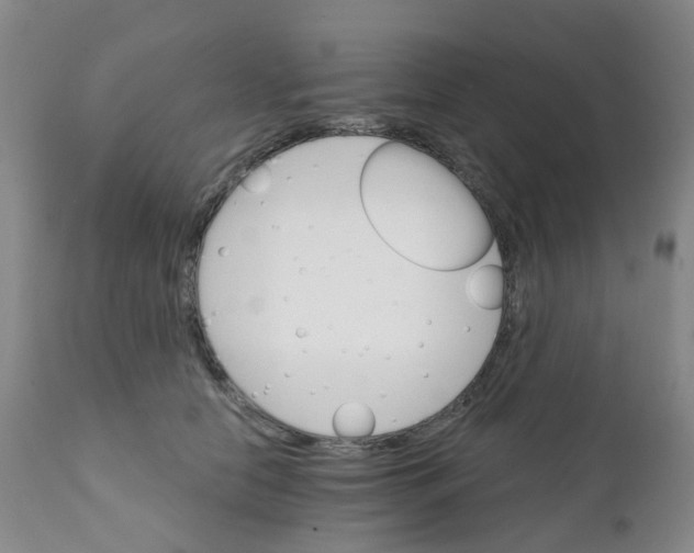 X0000111930658200908241117