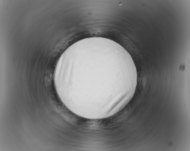 X0000111930660200908241117