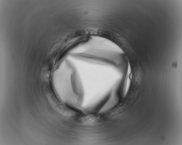 X0000111930661200908241117