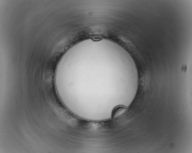 X0000111930662200908241117