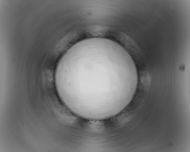 X0000111930667200908241117