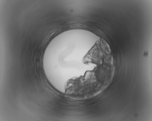 X0000111930669200908241117