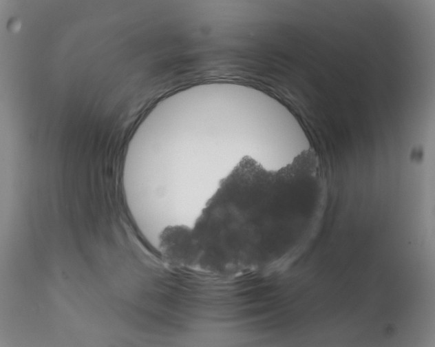 X0000111930670200908241117