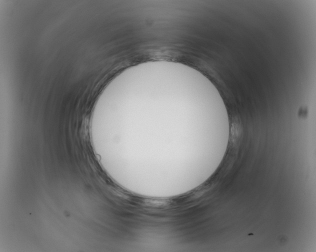 X0000111930671200908241117