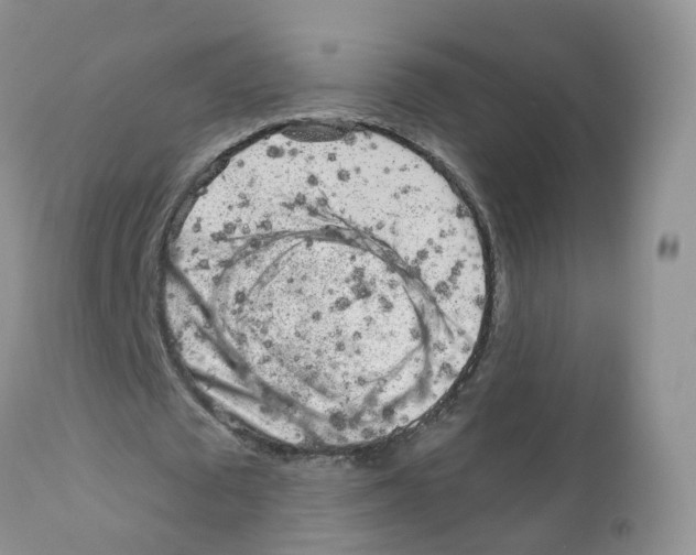 X0000111930673200908241116