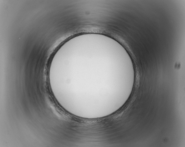 X0000111930674200908241116