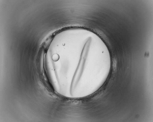 X0000111930676200908241116