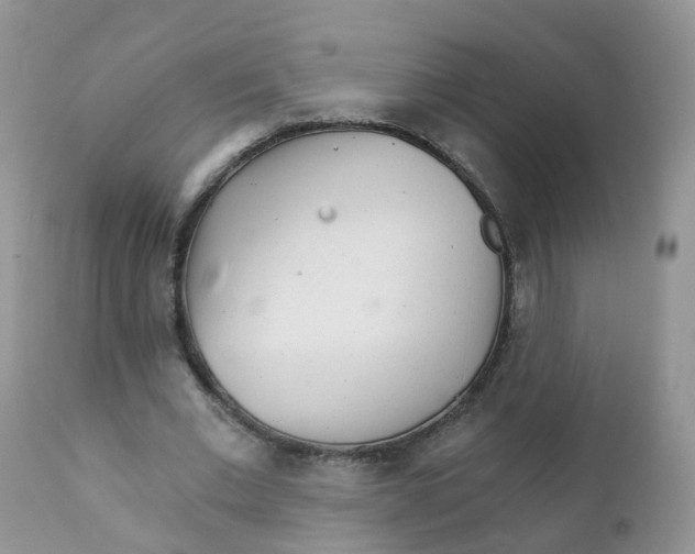 X0000111930677200908241116