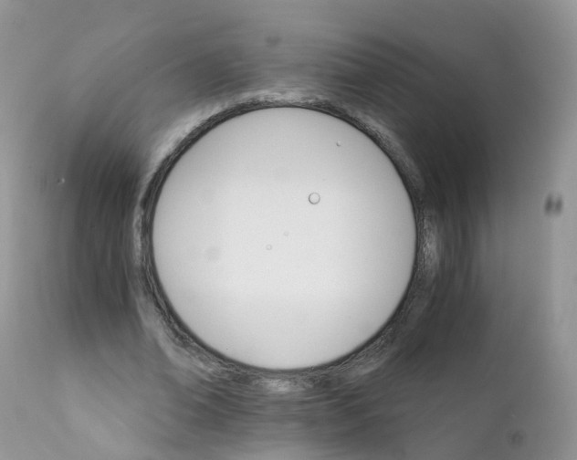 X0000111930678200908241116