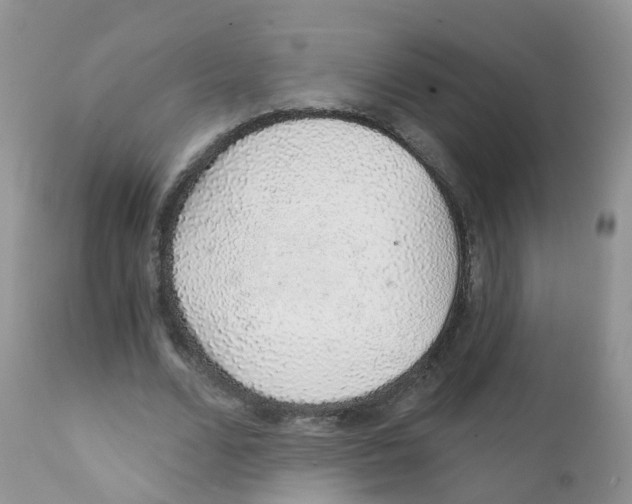 X0000111930680200908241116