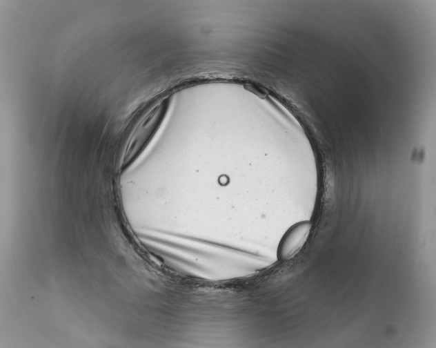 X0000111930681200908241116