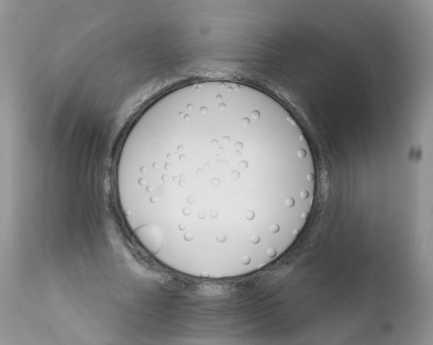 X0000111930682200908241116