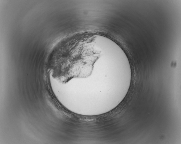 X0000111930683200908241116