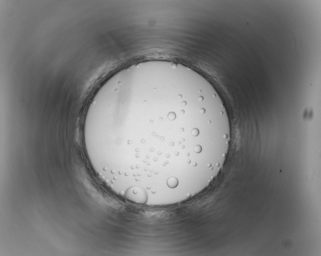 X0000111930686200908241116