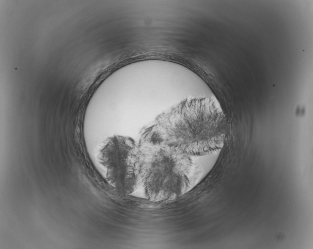 X0000111930687200908241116