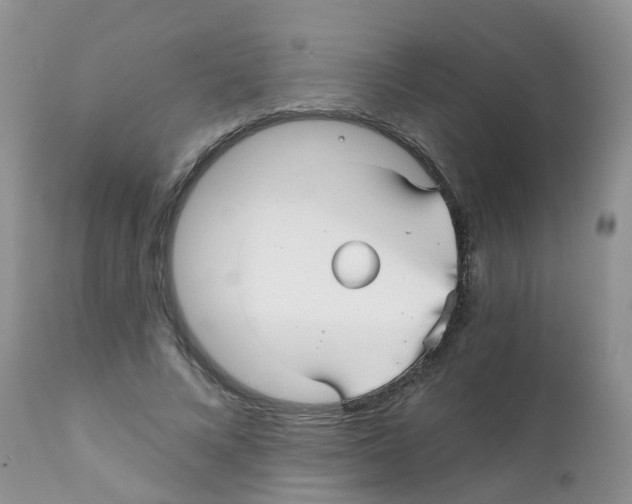 X0000111930688200908241116