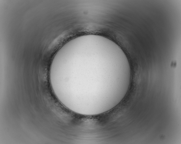 X0000111930689200908241116