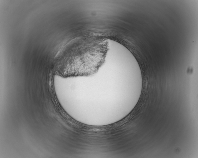 X0000111930691200908241116