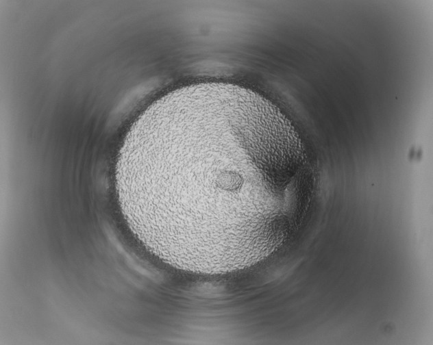 X0000111930692200908241116