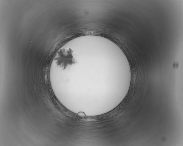 X0000111930695200908241116