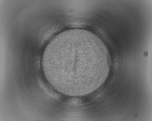 X0000111930696200908241116