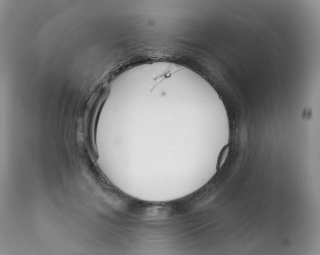 X0000111930700200908241116