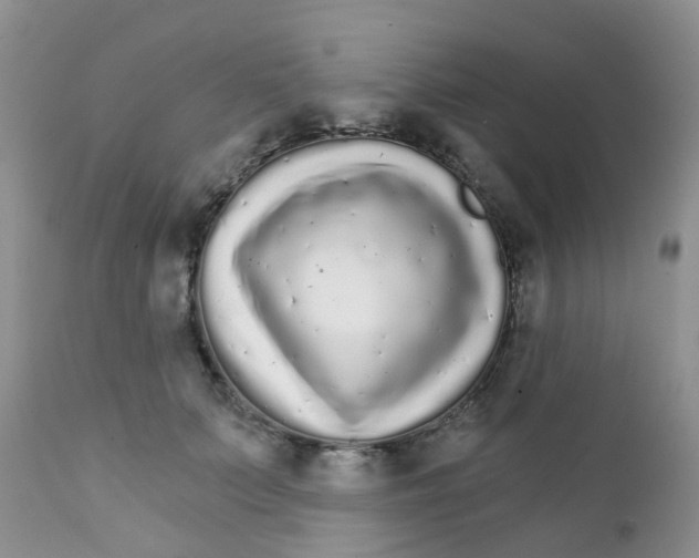 X0000111930703200908241116