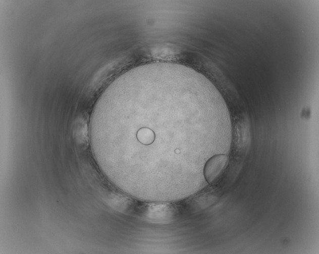 X0000111930705200908241116